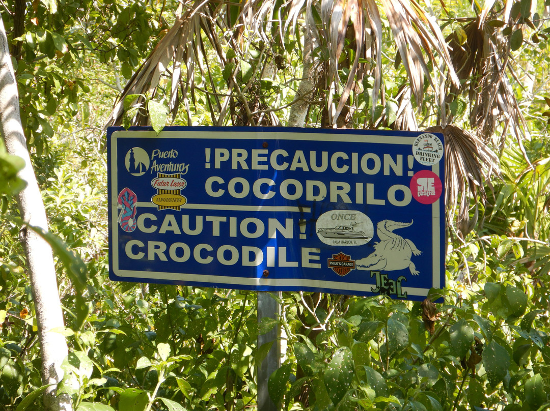 Puerto Aventuras-阿范特拉斯港必去景点