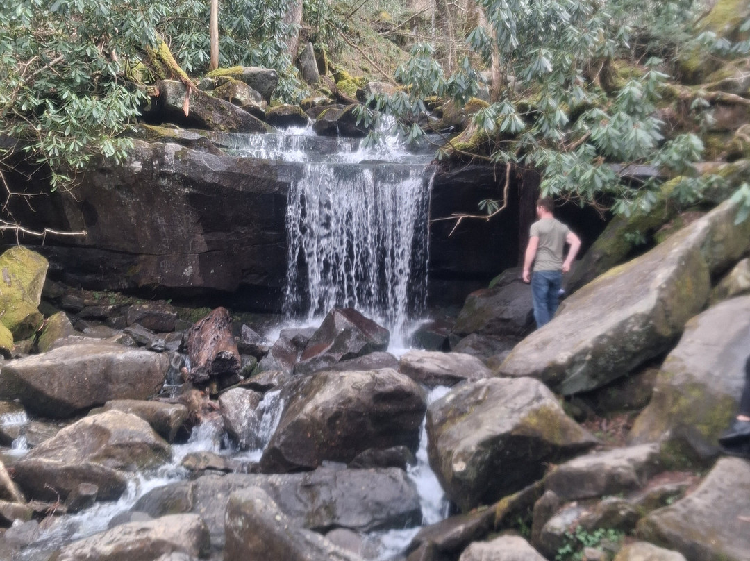 Rainbow Falls Trail-大雾山国家公园必去景点