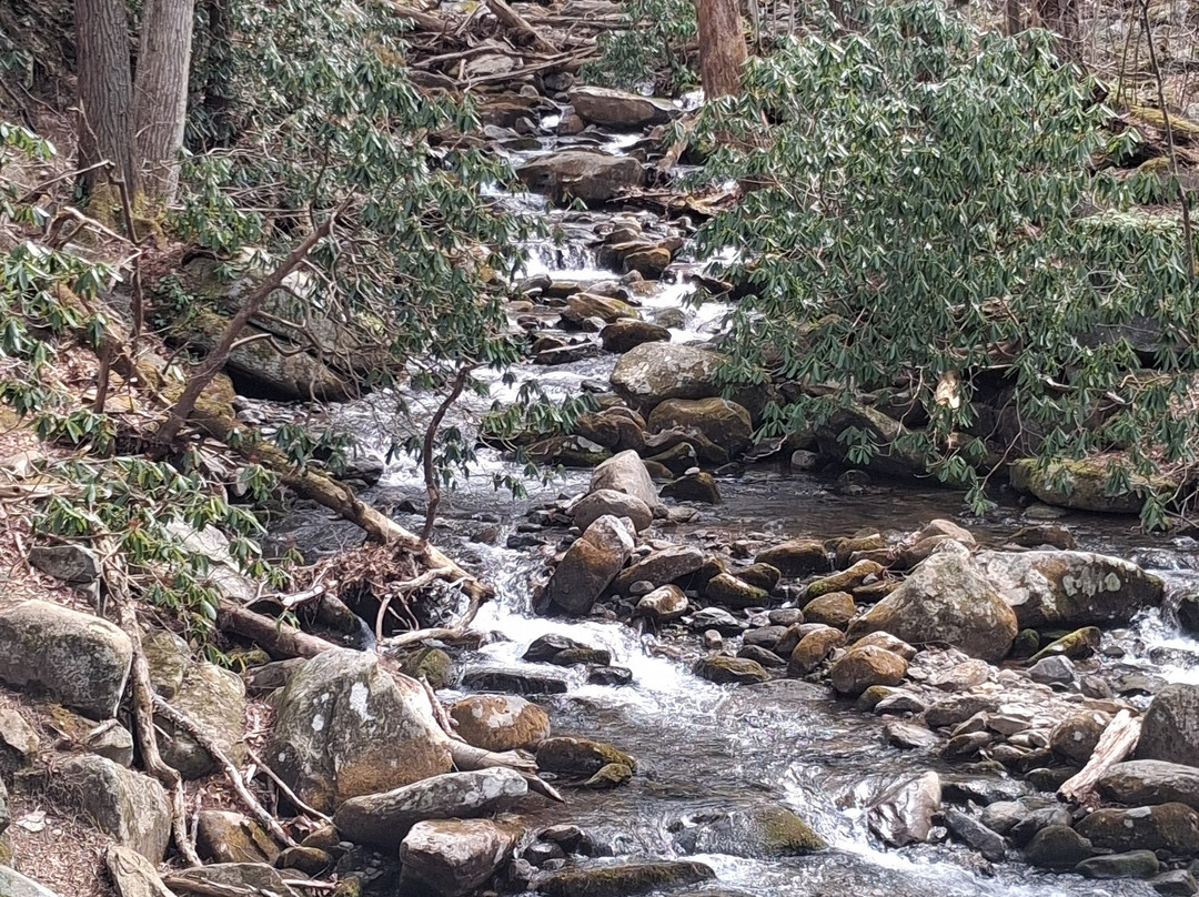 Rainbow Falls Trail-大雾山国家公园必去景点