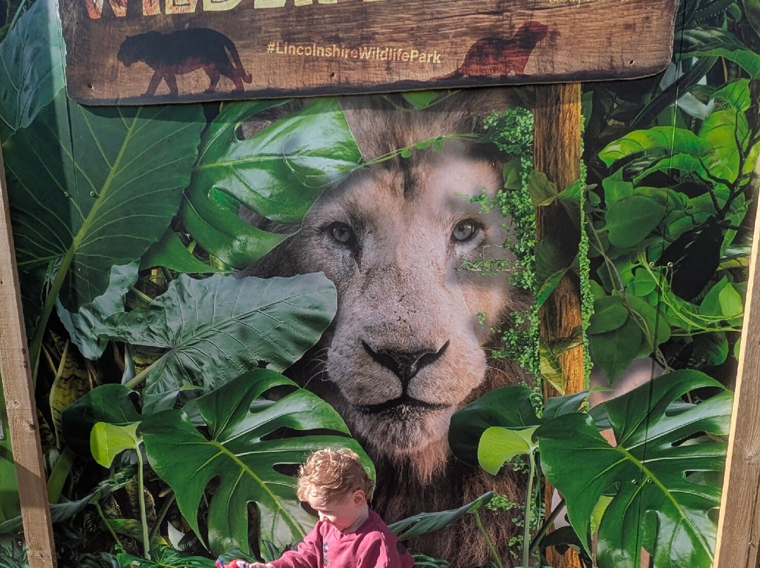 Lincolnshire Wildlife Park-Friskney必去景点