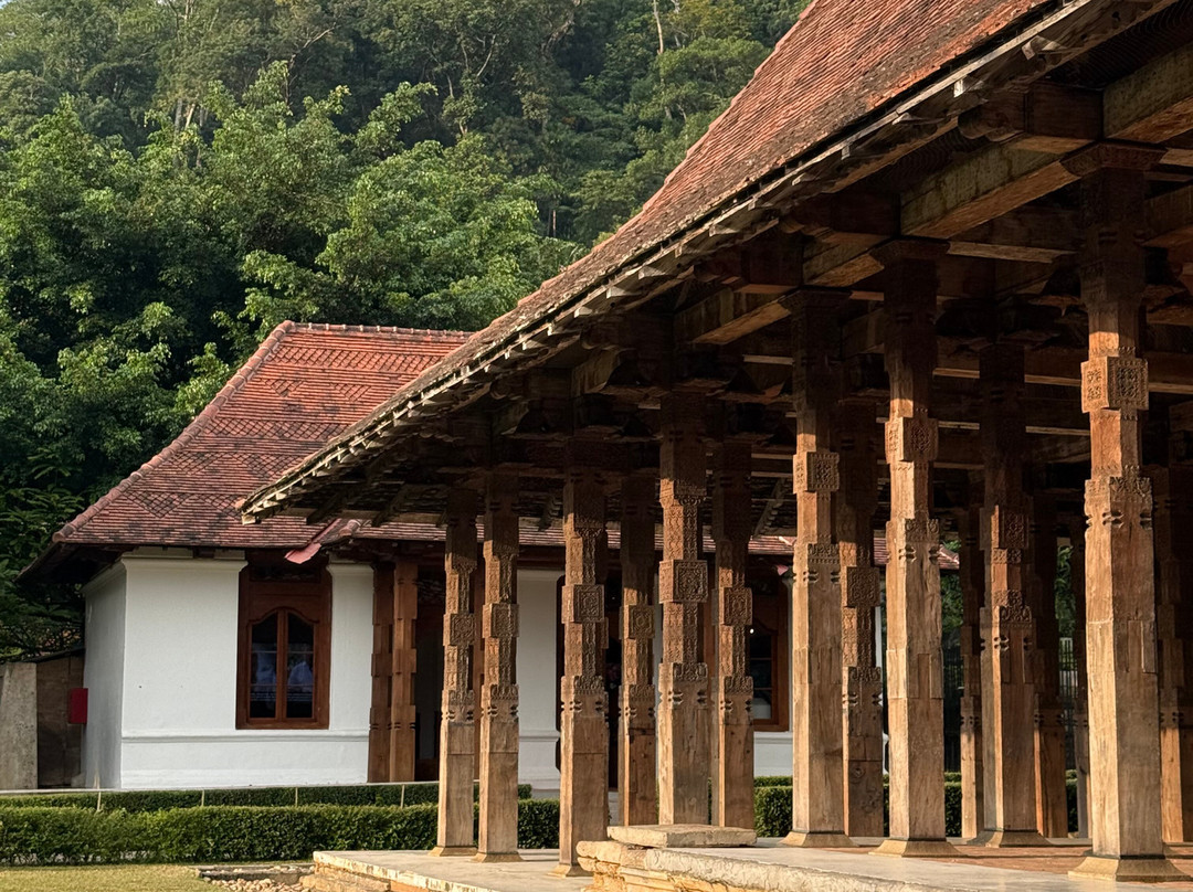 Sri Lanka Driver Guide Aruna-科伦坡必去景点