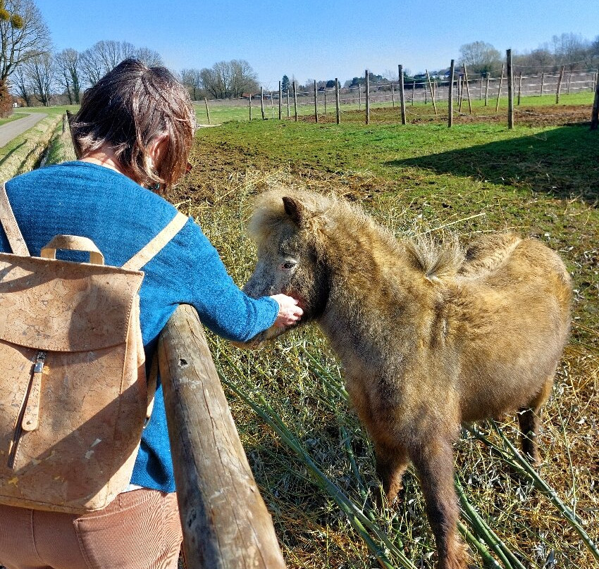 Vlooybergtoren-Tielt Winge必去景点