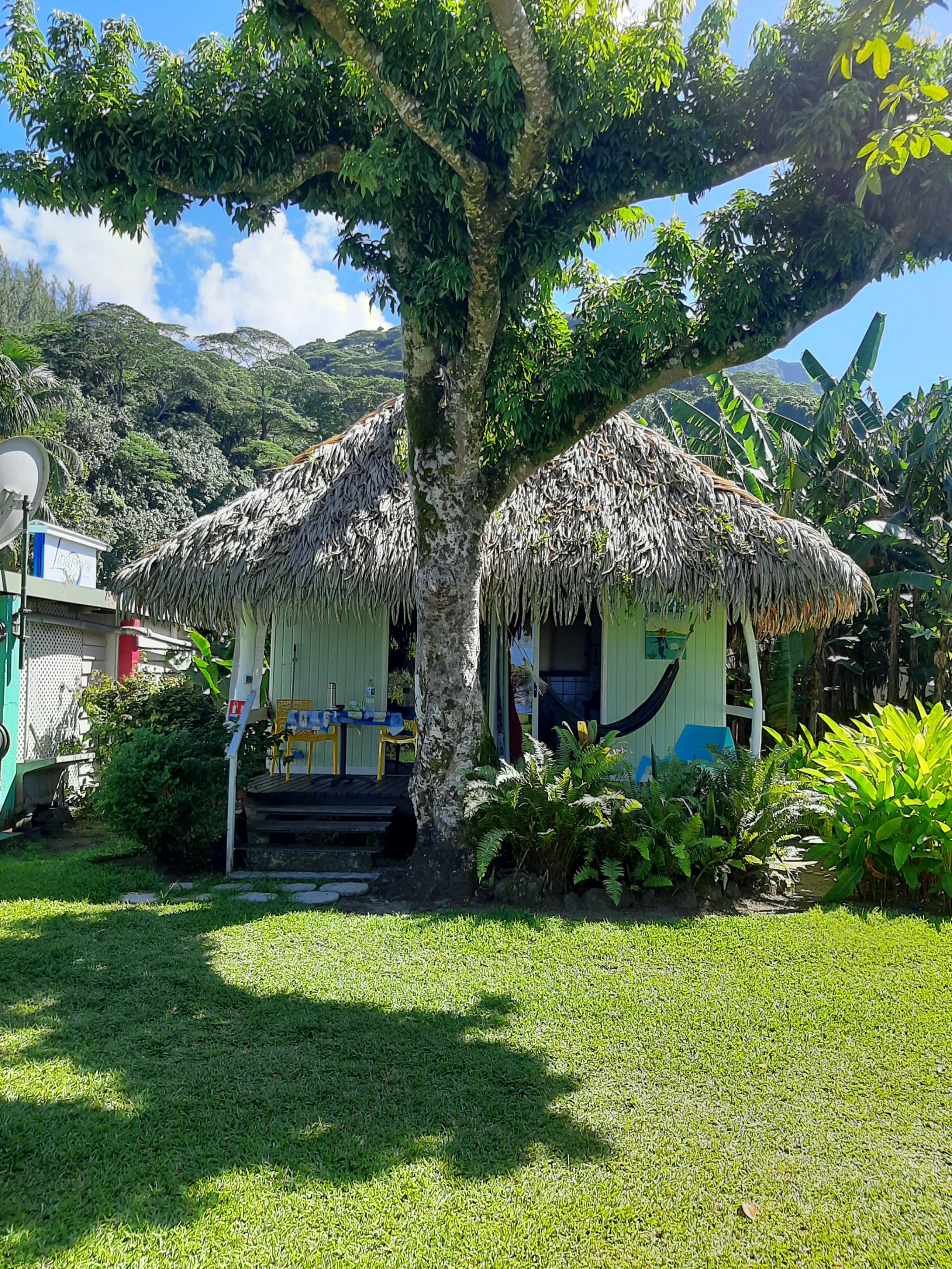 莫雷阿岛林纳希弗海滩度假村-官方