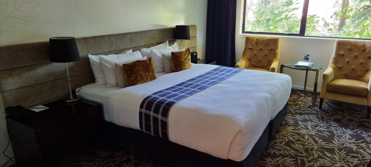 基督城乔治酒店-客卧