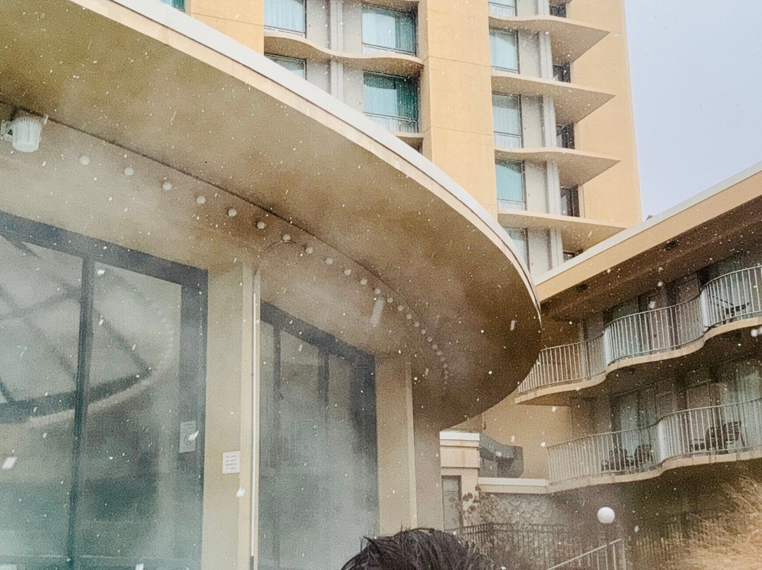 芝加哥奥黑尔万豪酒店主图