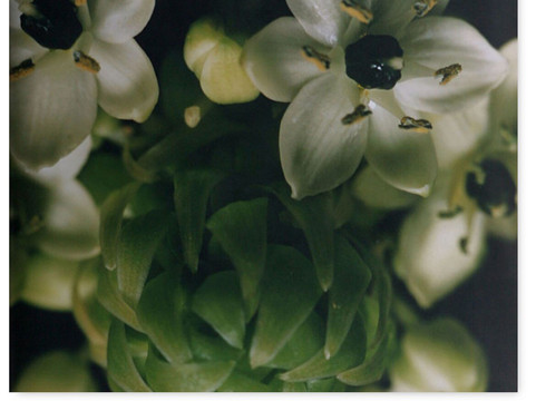 Art Alba Gallery-香港必去景点