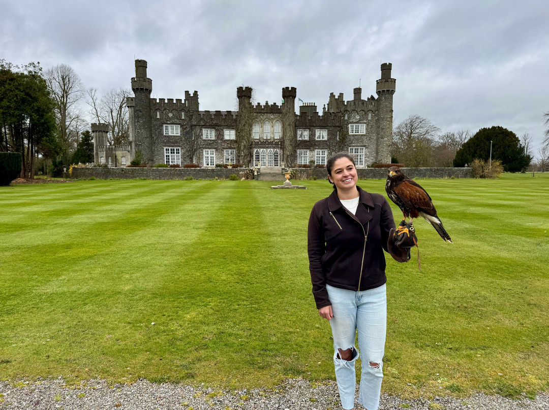 Dublin Falconry-Castleknock必去景点