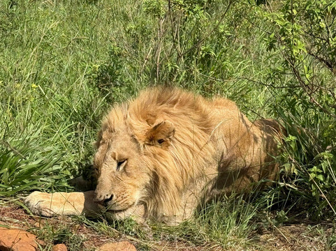 Masai Mara National Reserve-纳罗克必去景点