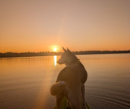 Kayak journey-Rekawa必去景点