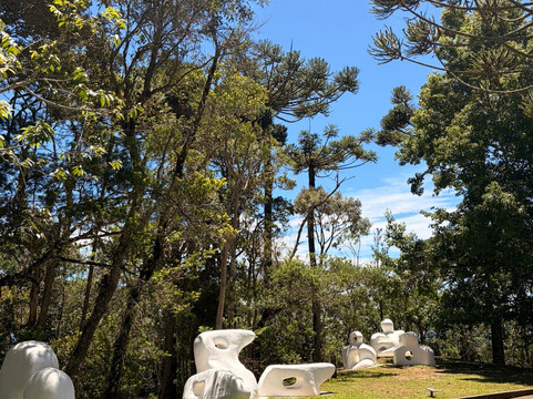 Museu Felícia Leirner-坎普斯－杜若尔当必去景点