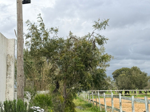 Andar a cavalo-Gaio-Rosario必去景点