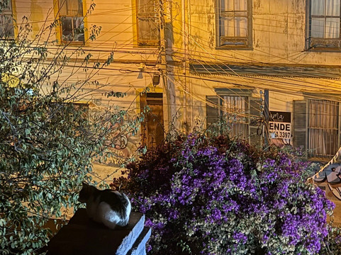 卡萨索默斯凯尔斯酒店主图