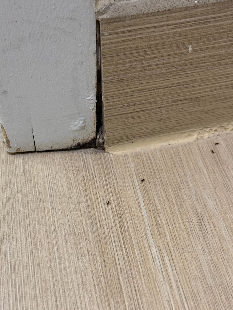 布兰奇堡/布里奇沃特凯悦嘉寓酒店-浴室