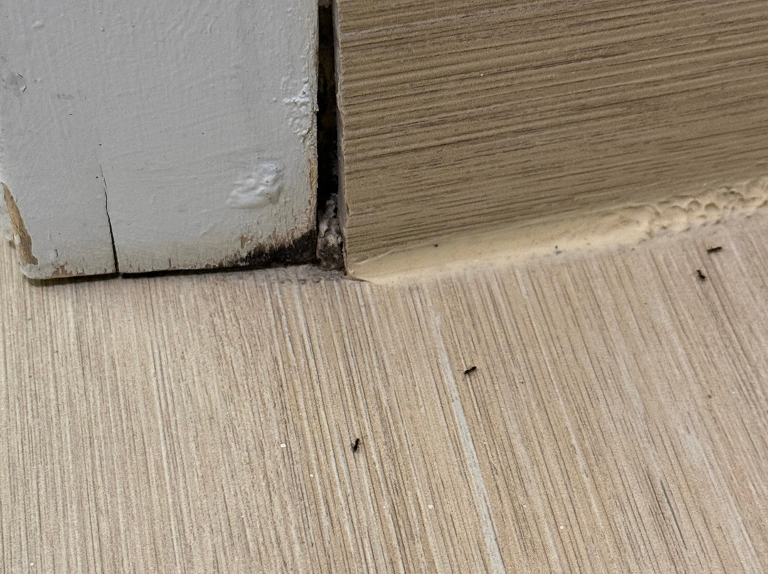 布兰奇堡/布里奇沃特凯悦嘉寓酒店主图