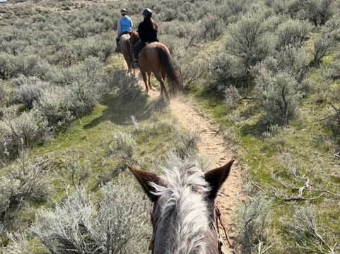 Sun Hills Riding Centre-奥索尤斯必去景点