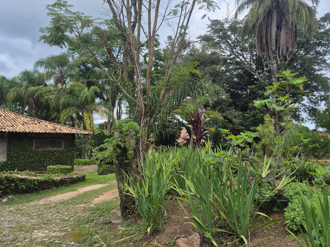 卡普里科阿斯图里亚诺酒店主图