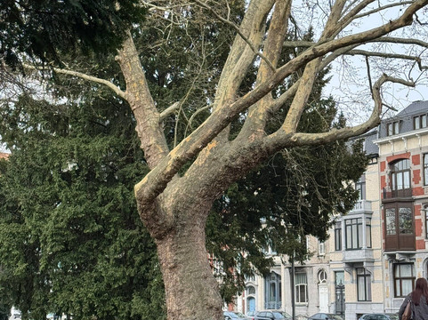 Parc de la Boverie-列日必去景点
