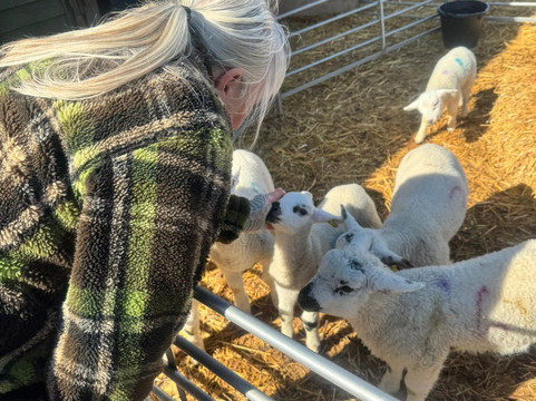 Church Farm Ardeley-斯蒂夫尼奇必去景点