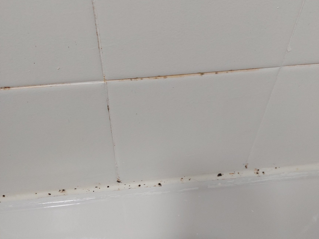 普瑞米尔沃灵顿中心酒店主图