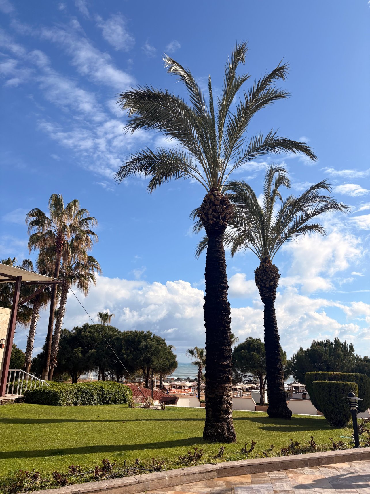 卡梅利亚塞林酒店-全包式-官方