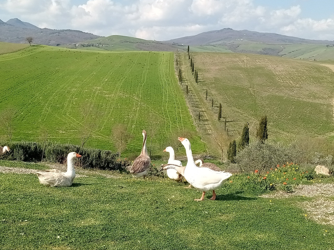 圣阿波利纳尔酒店主图