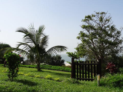 里欧海滩休闲酒店及餐厅 - 限成人入住主图