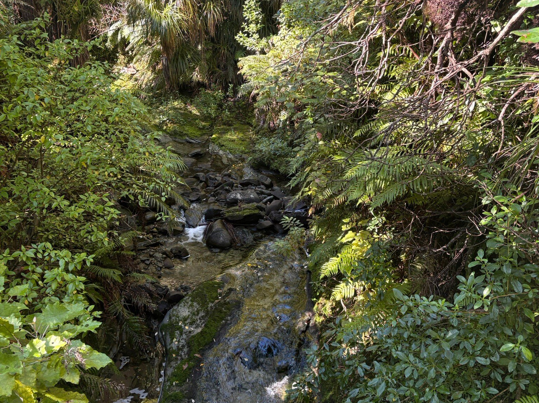 Morere Hot Springs-Morere必去景点