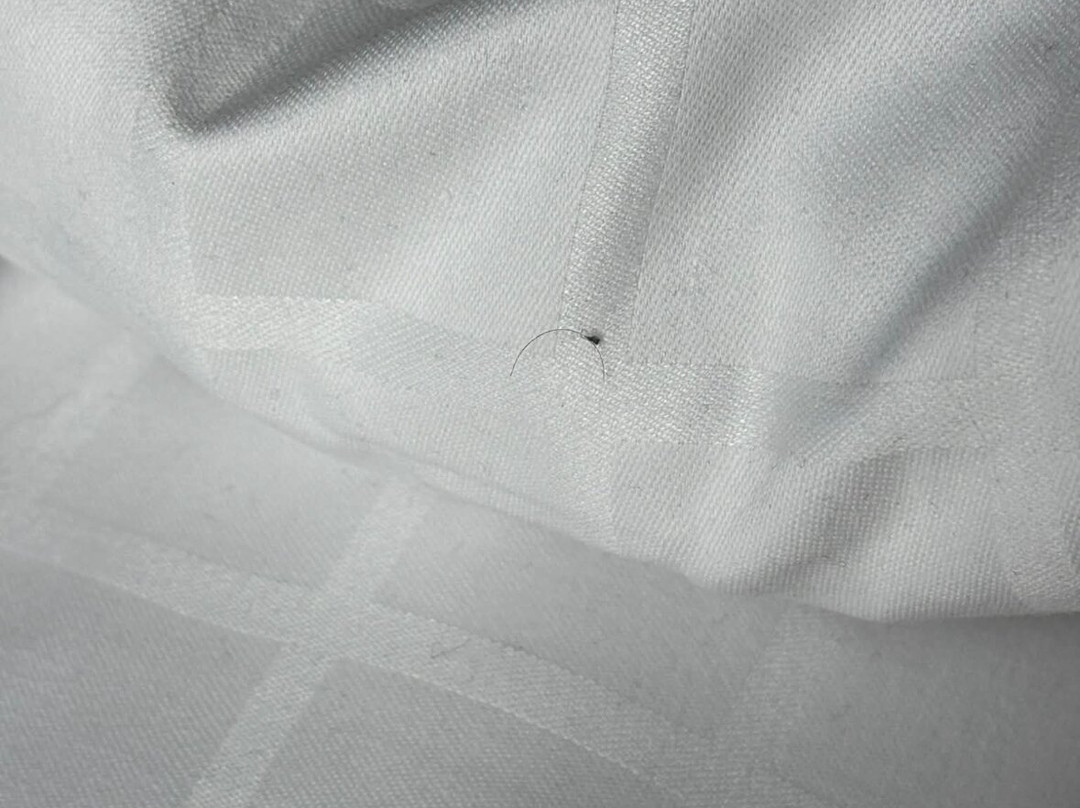 哥本哈根海滩公园斯堪迪克酒店主图