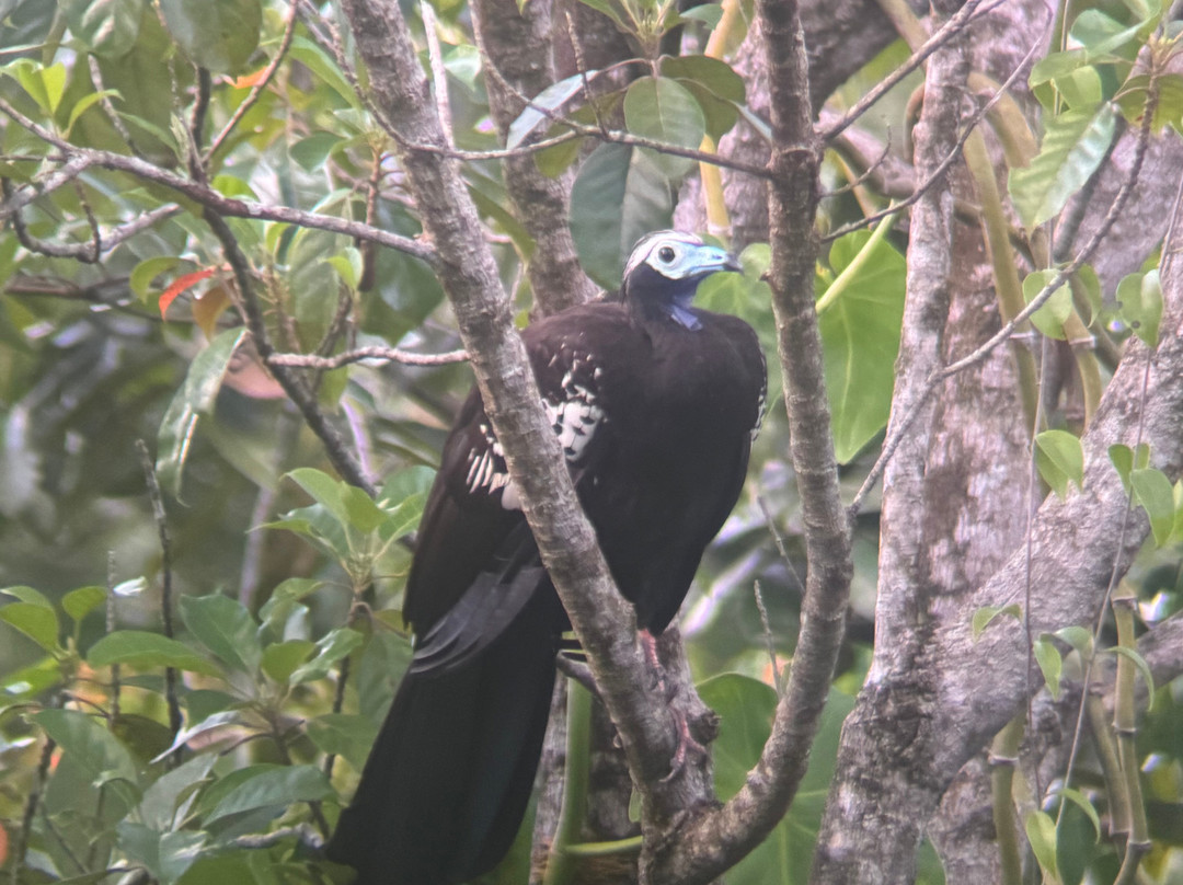 Eureka Natural History Tours-斯卡伯勒必去景点