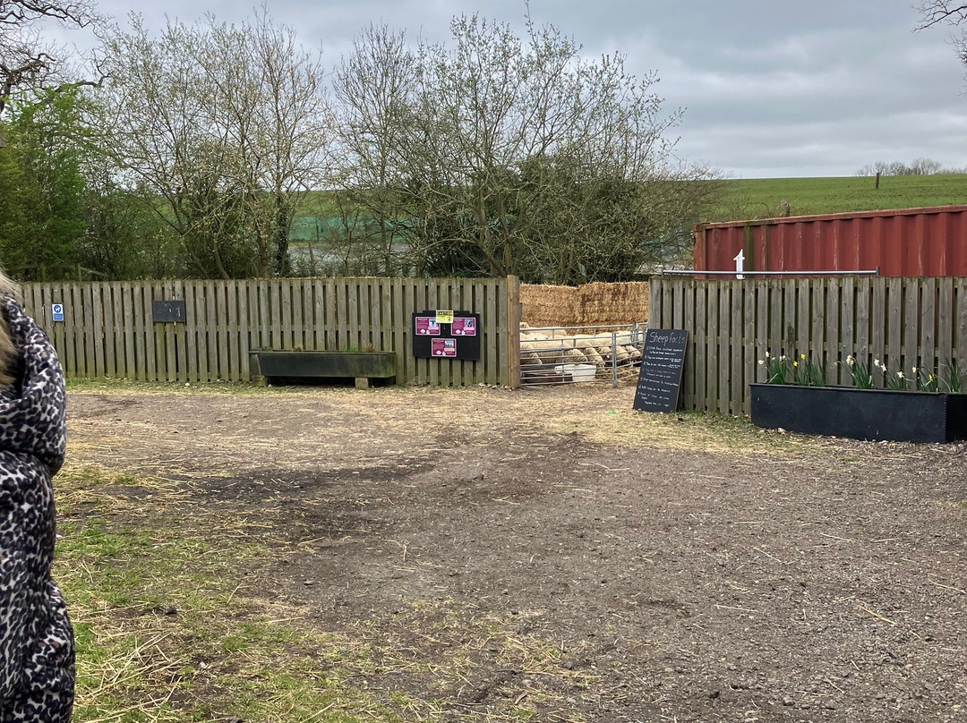 Foxholes Farm Shop & Butchery-Hertford必去景点