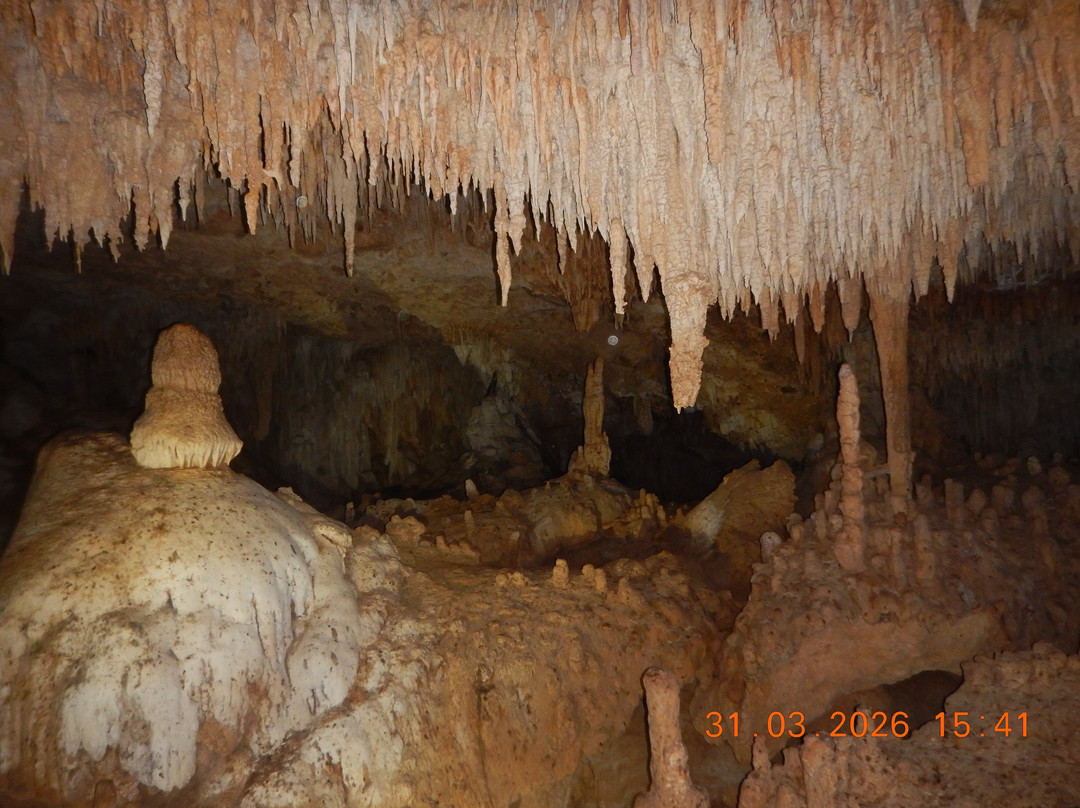 Cenote Santa Cruz-艾库玛尔必去景点