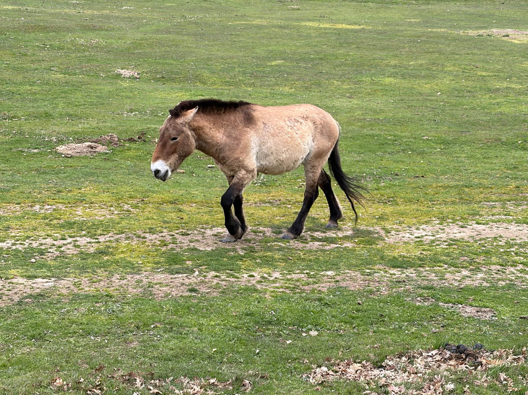 Paleolitico Vivo-布尔戈斯省必去景点