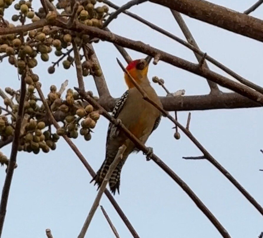 Sweet Retreats Casa Chango-埃斯孔迪多港必去景点
