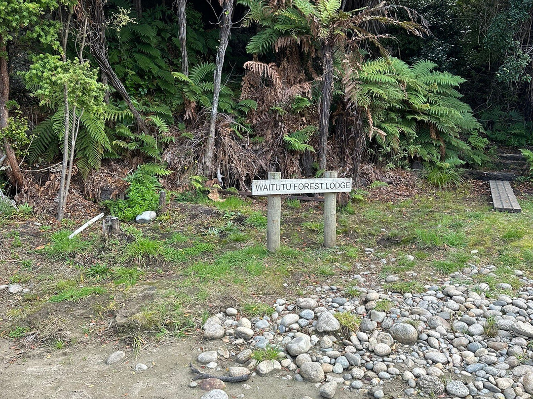 Wairaurahiri Wilderness Jet-因弗卡吉尔必去景点