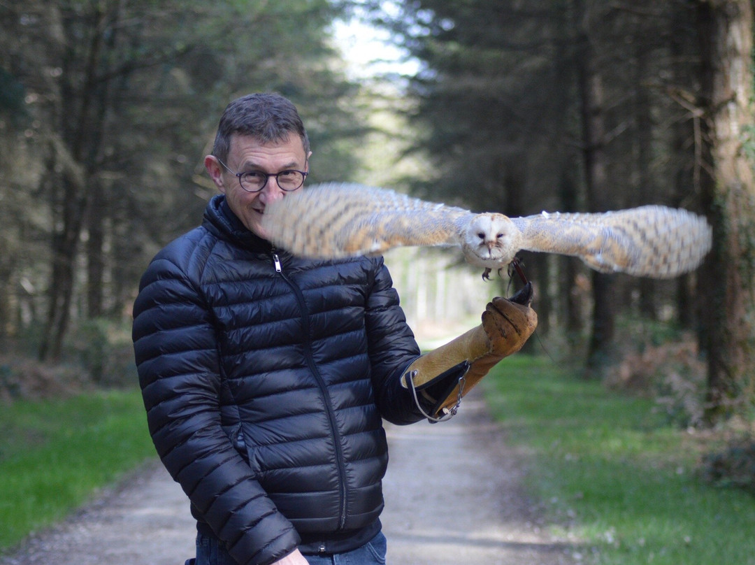 Mon Perroquet & Cie-Montrichard必去景点