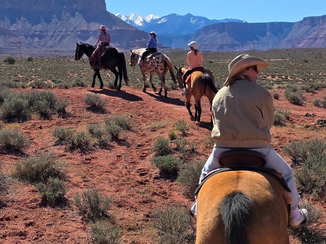 Moab Horses-莫阿布必去景点