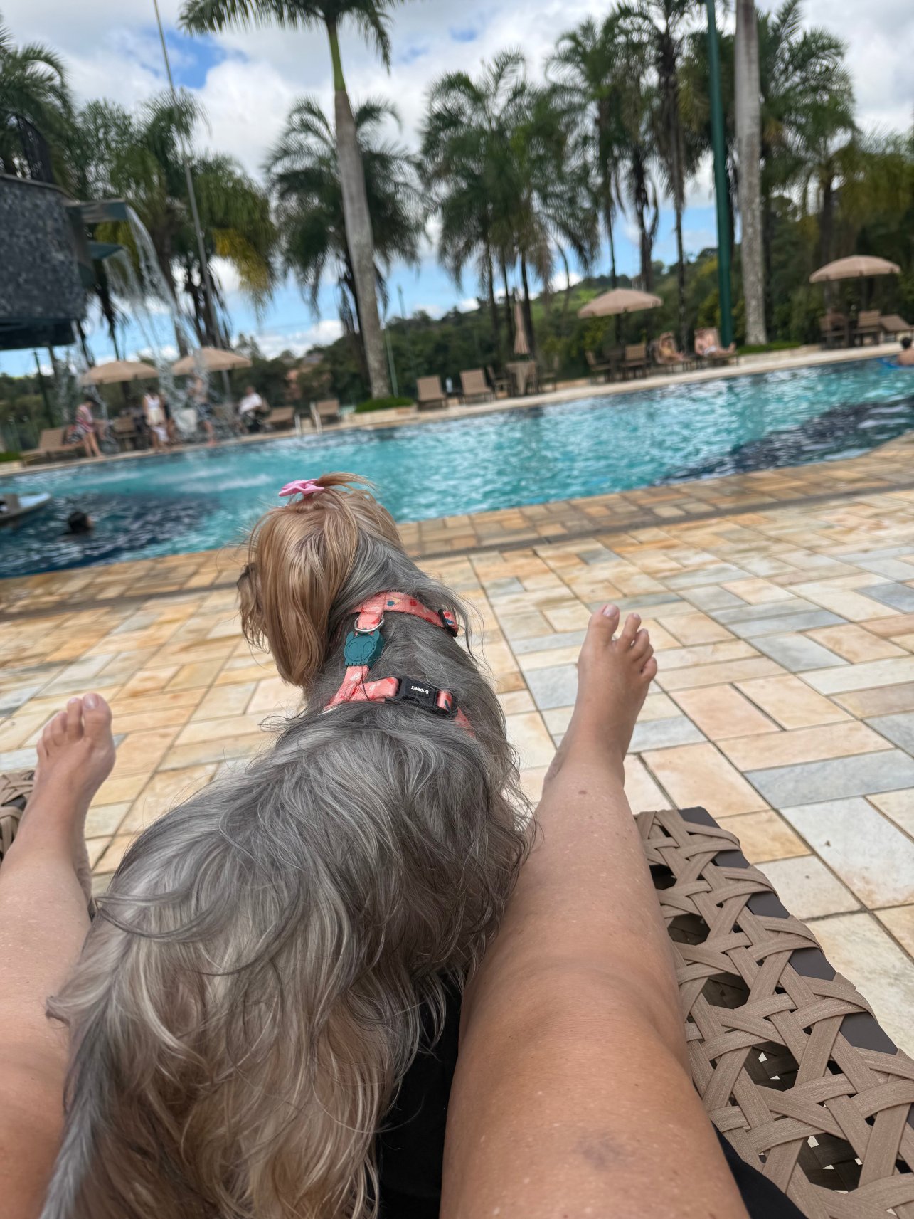 奥斯卡生态度假酒店-官方