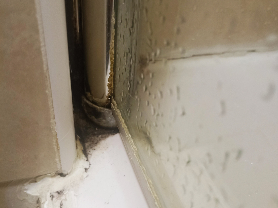 威瑟斯普恩希瑞屯斯酒店主图