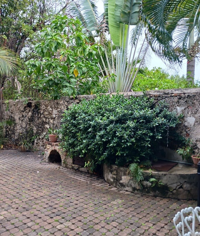 CMCArts-Frederiksted必去景点