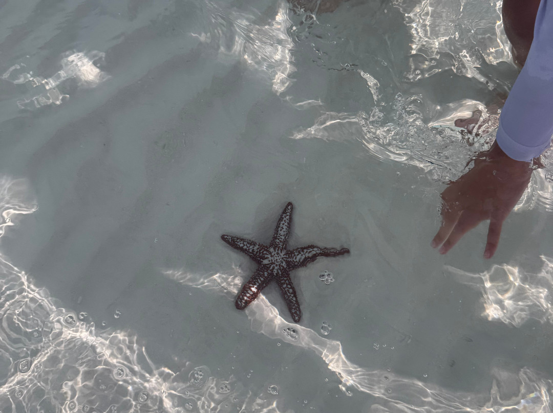 Hydro Watersports-大埃克苏马必去景点