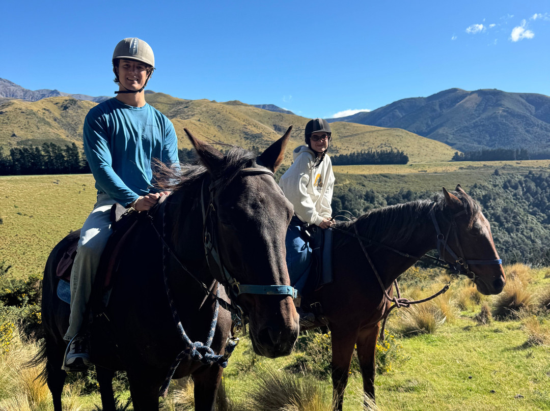 Rubicon Valley Horse Riding-Thornton必去景点