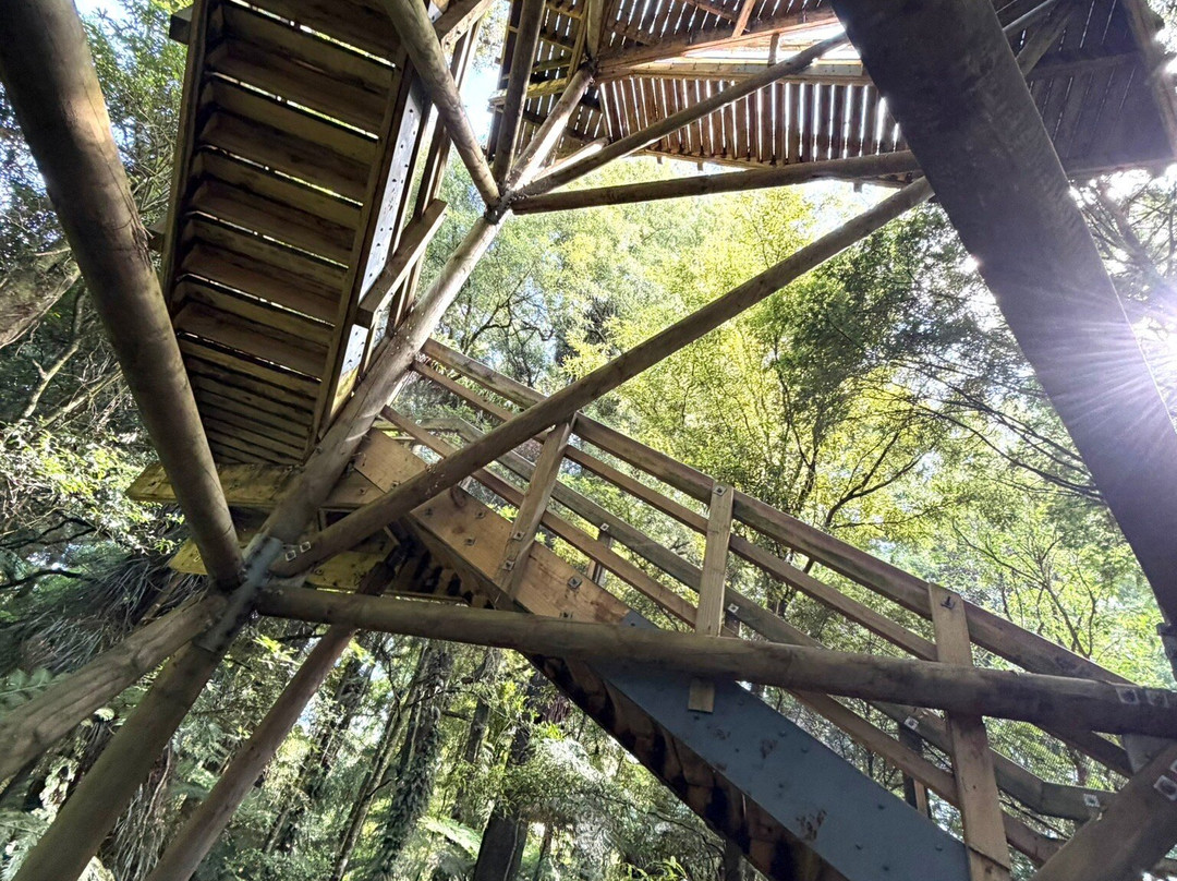 Sanctuary Mountain Maungatautari-Pukeatua必去景点