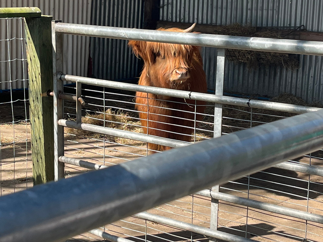 Greenacres Animal Park-Deeside必去景点