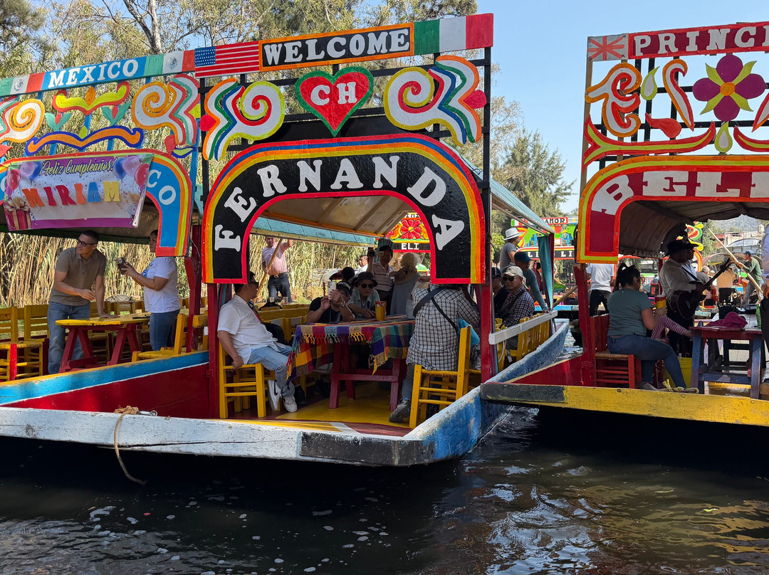 Estigo Tours-墨西哥城必去景点