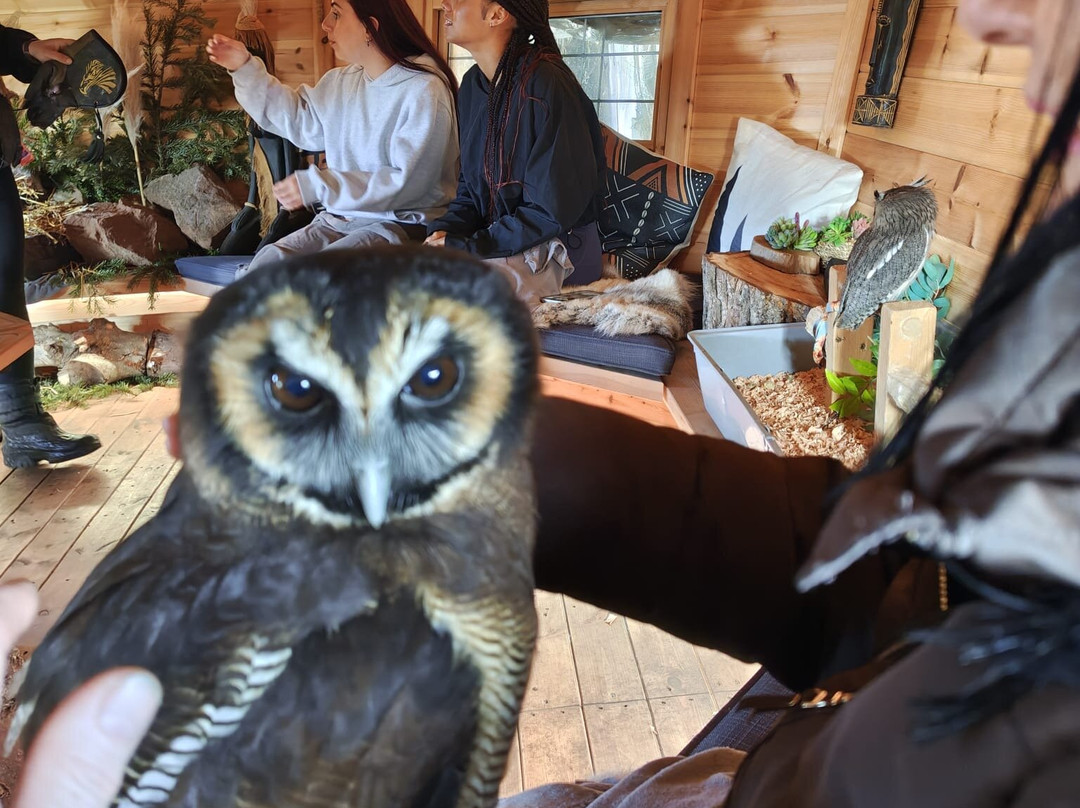 Nanny Sharon's Alpaca Farm C.I.C-Prenton必去景点