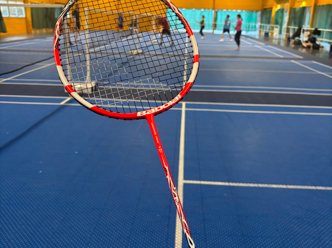 New-Squash Badminton Jorkyball-Lattes必去景点