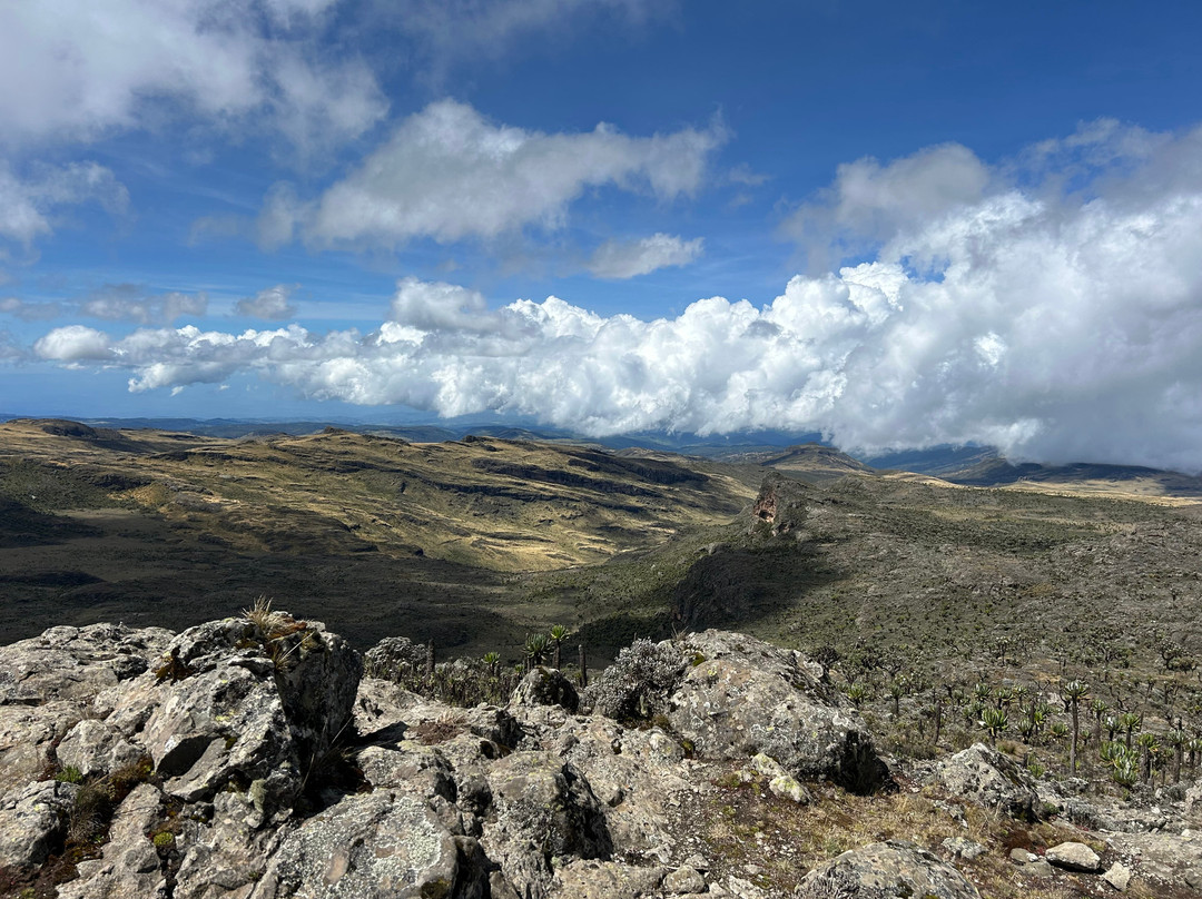 Mt. Elgon Hikes Uganda-Sipi必去景点