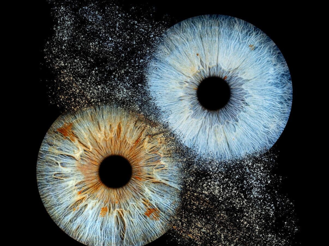 Iris Galerie Groningen-格罗宁根省必去景点