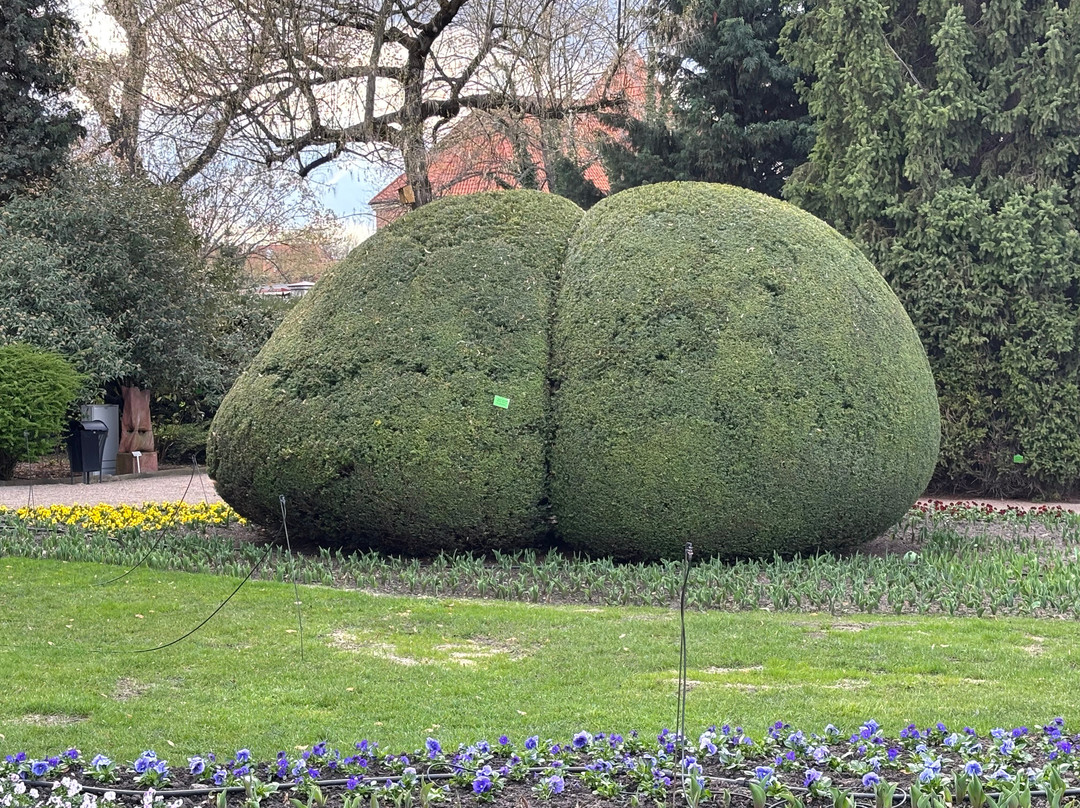 Botanical Garden of the University of Wrocław-弗罗茨瓦夫必去景点