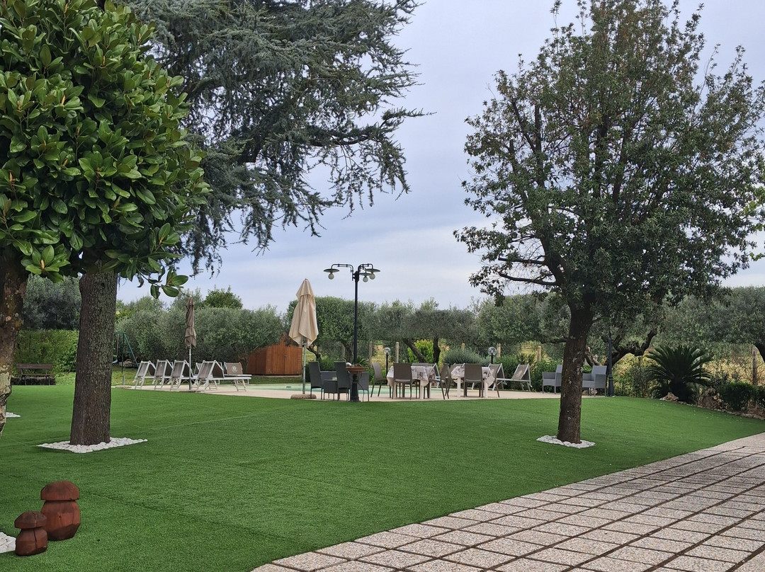 B&B Casale Ansamagi放松和游泳池主图